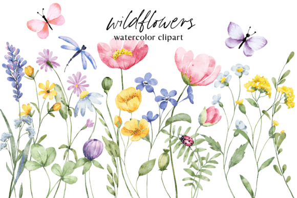 Download Wild Fowers, Butterflies and Dragonfly. - Butterflies Collection